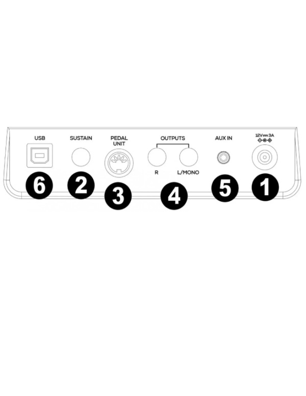 Alesis Prestige Artist - Image 5